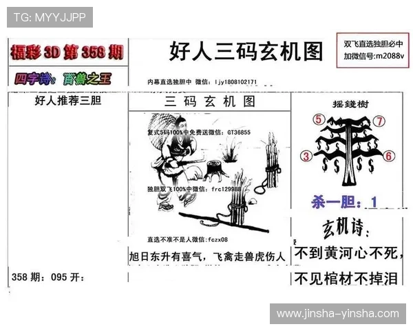 藏机开奖图揭秘：玄机暗藏的数字密码